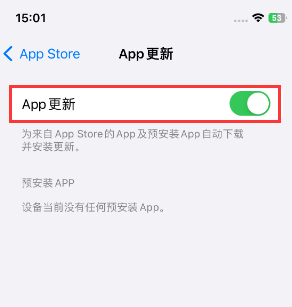 浪卡子苹果15维修中心如何让iPhone15APP自动更新